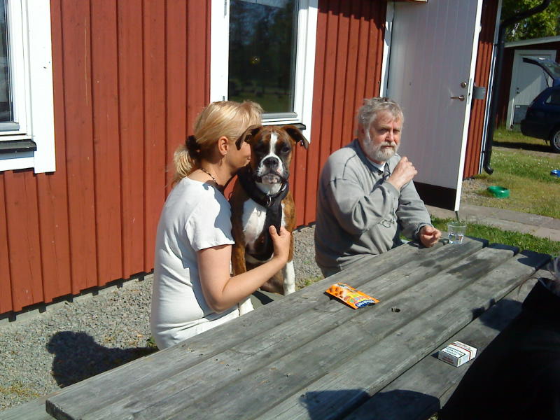 [image-upload-149-783484.jpg]