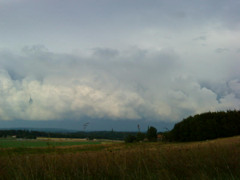 [image-upload-43-707295.jpg]