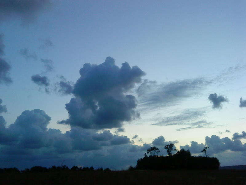 [image-upload-237-748017.jpg]