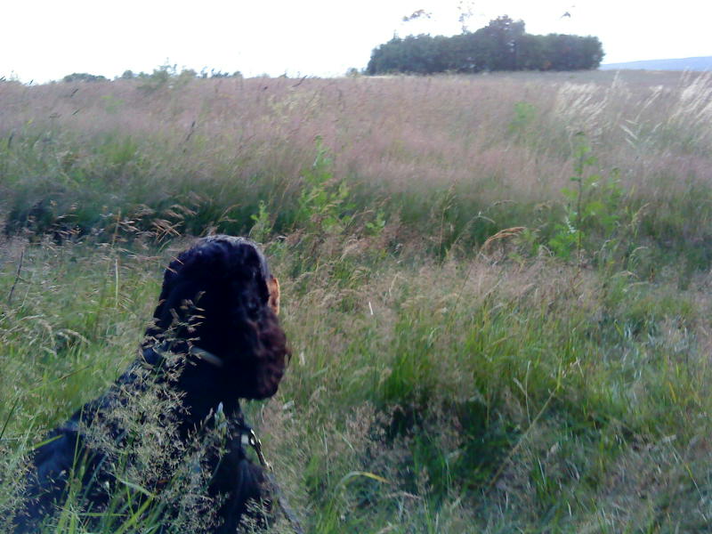 [image-upload-56-759550.jpg]