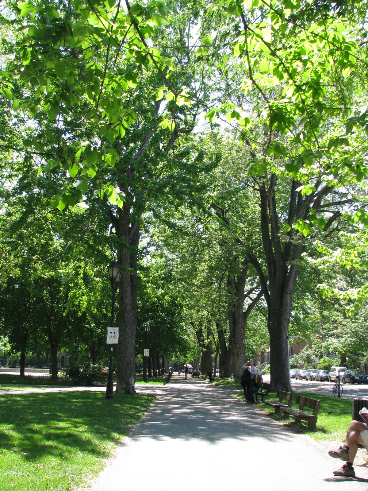 [IMG_5805.JPG]
