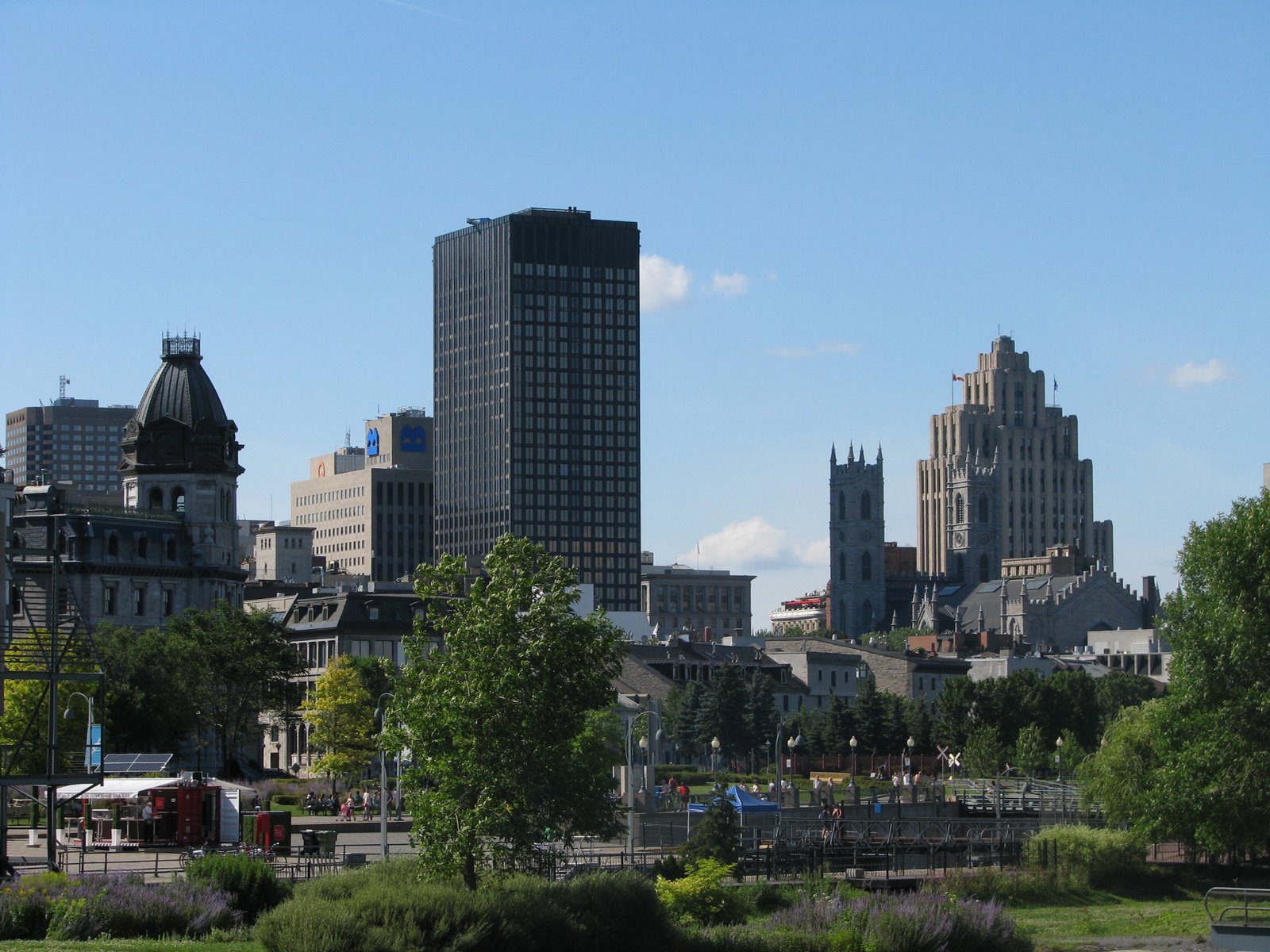 [IMG_6464.JPG]