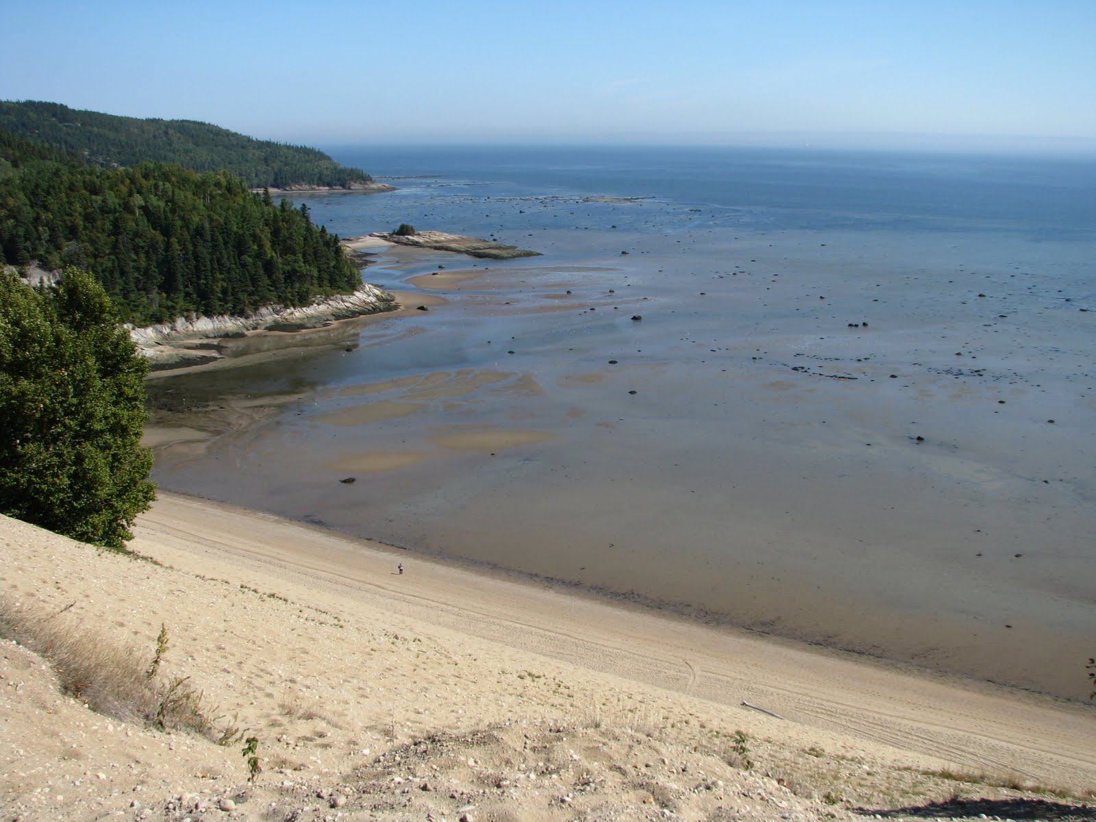 [IMG_7758.JPG]