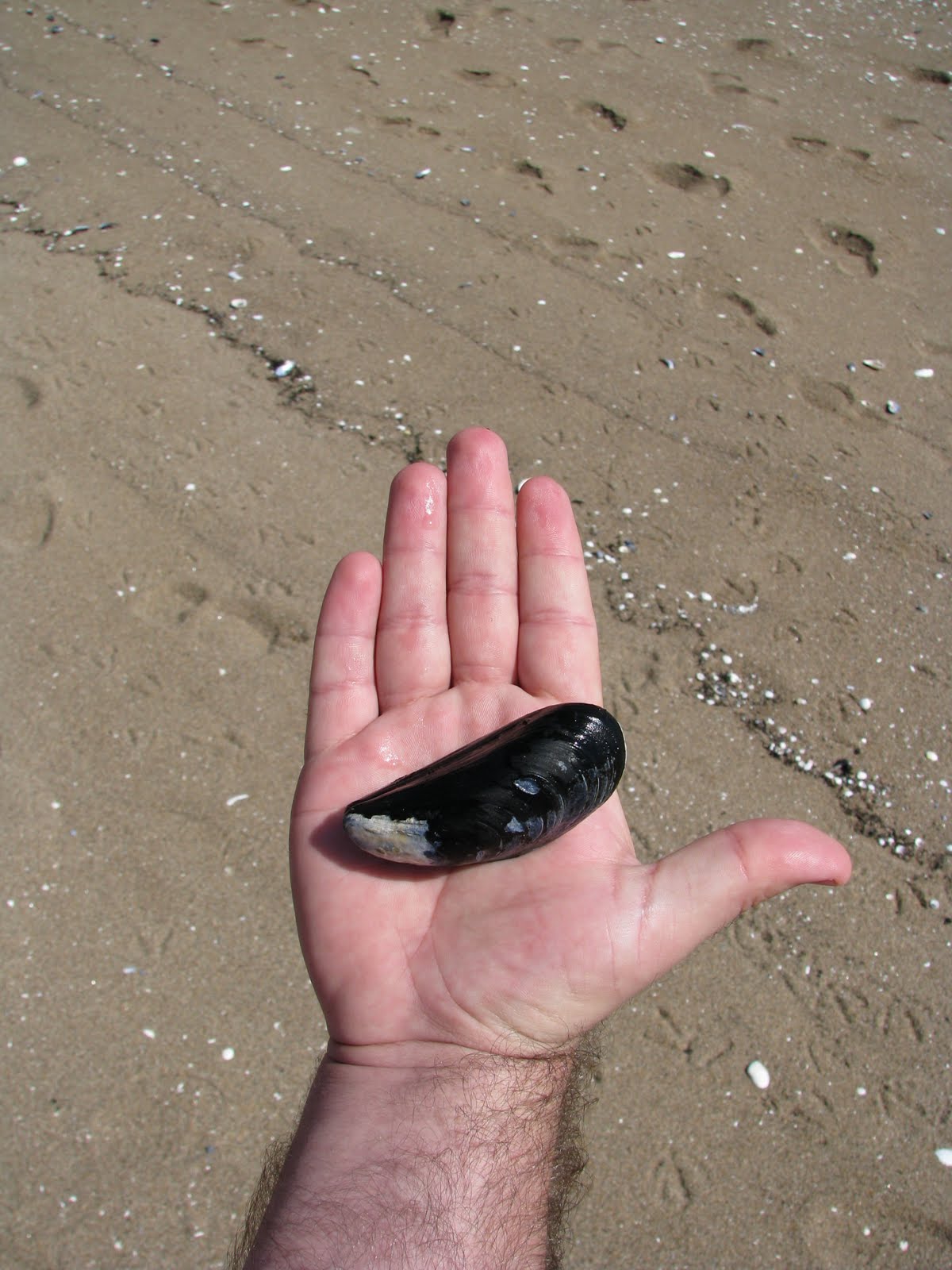 [IMG_7795.JPG]