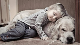 menina-dormindo-cachorro-children-pet-dog