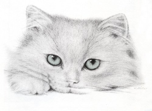Gatos em Preto e Branco - Imagens para Decoupage
