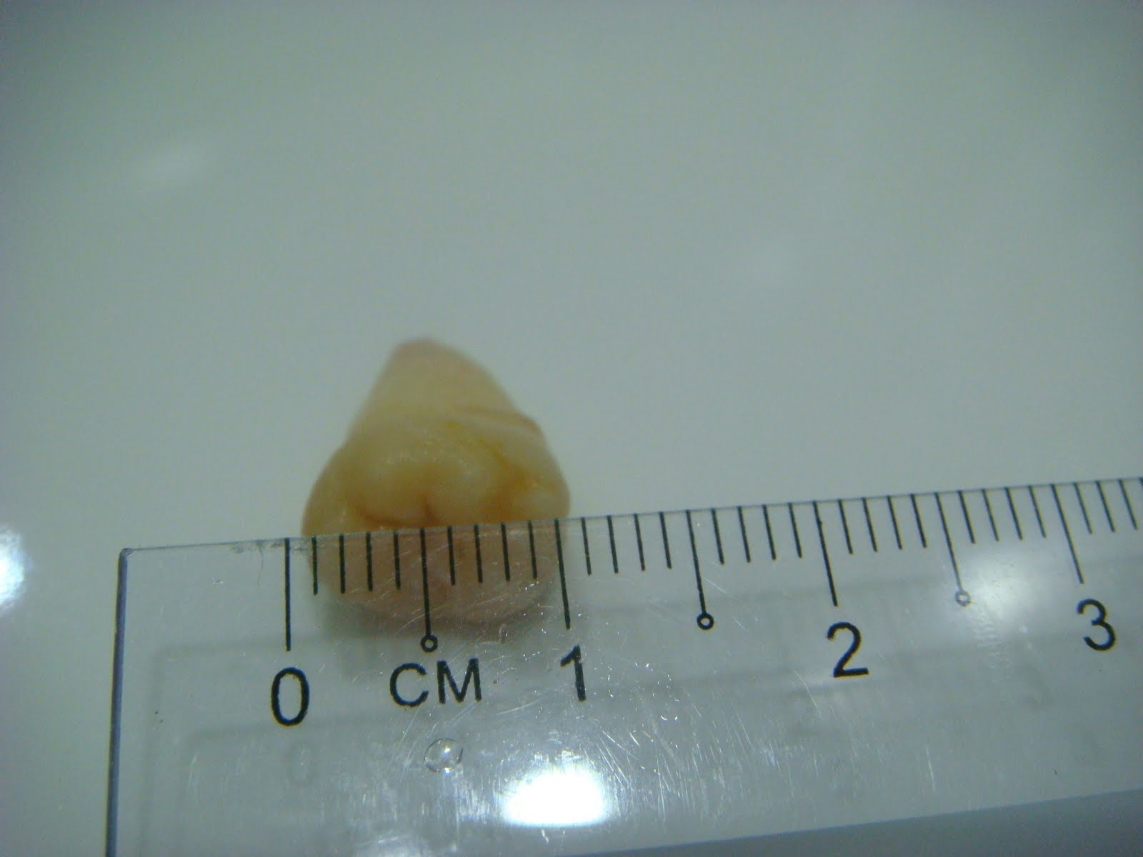 [DSC01685.JPG]