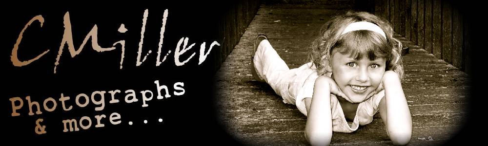 CMiller Photographs & More...