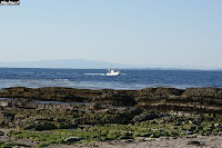 沖ノ島沿岸の漁船