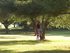 Climbing trees