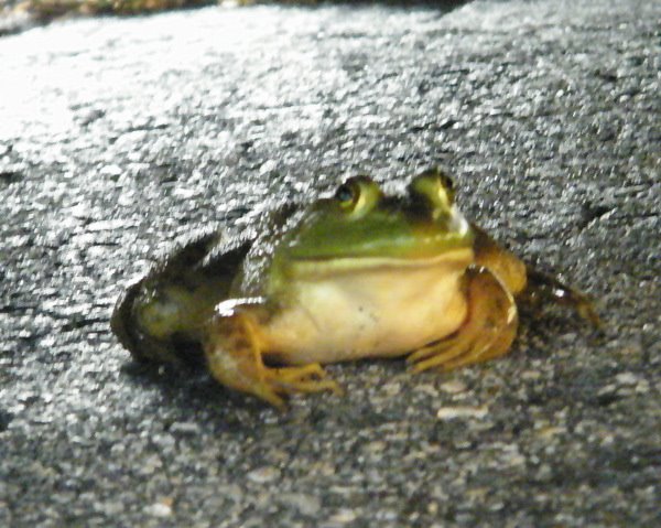 [2009_07030057.JPG]