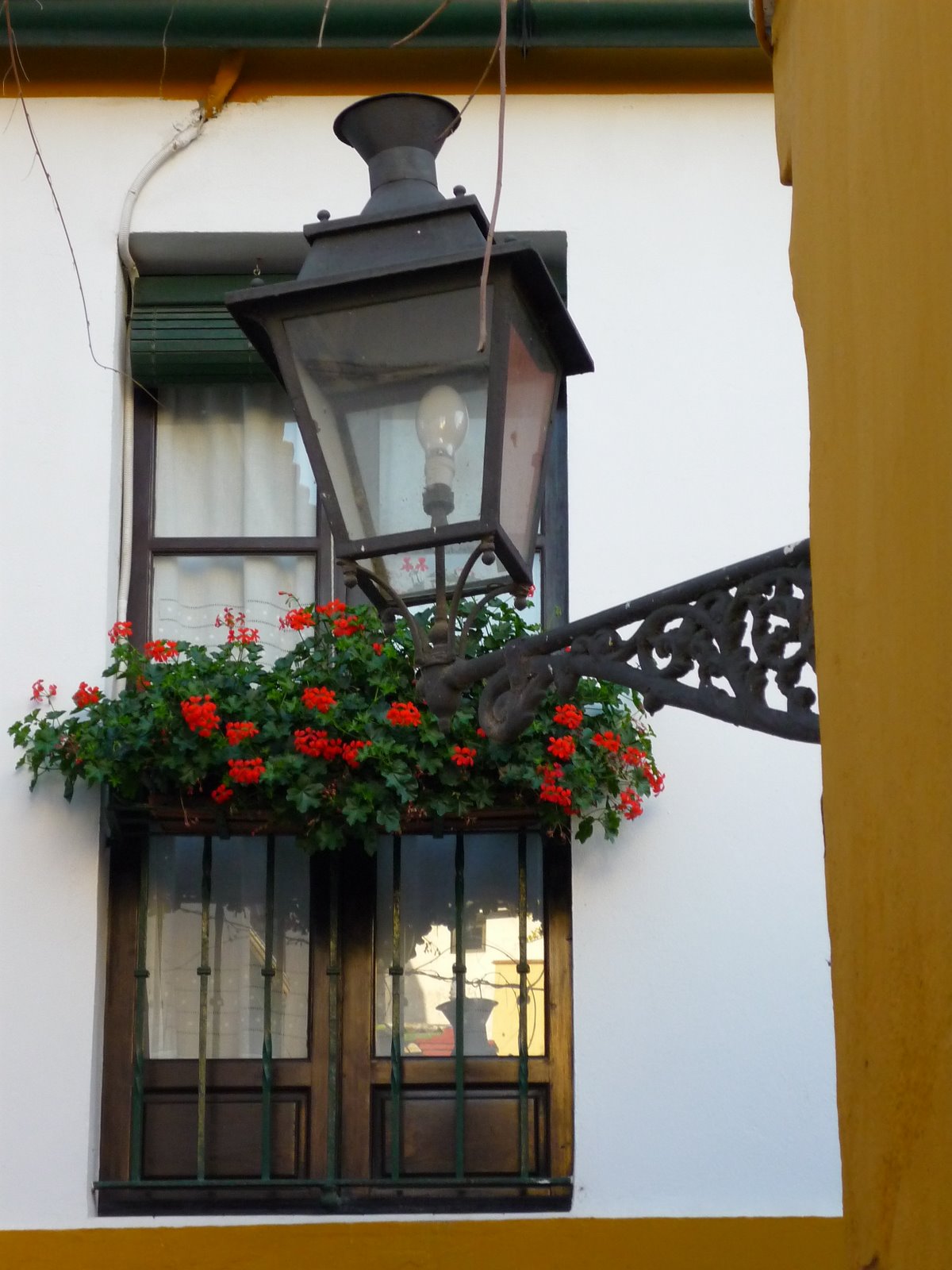 [christmasss+165.jpg]