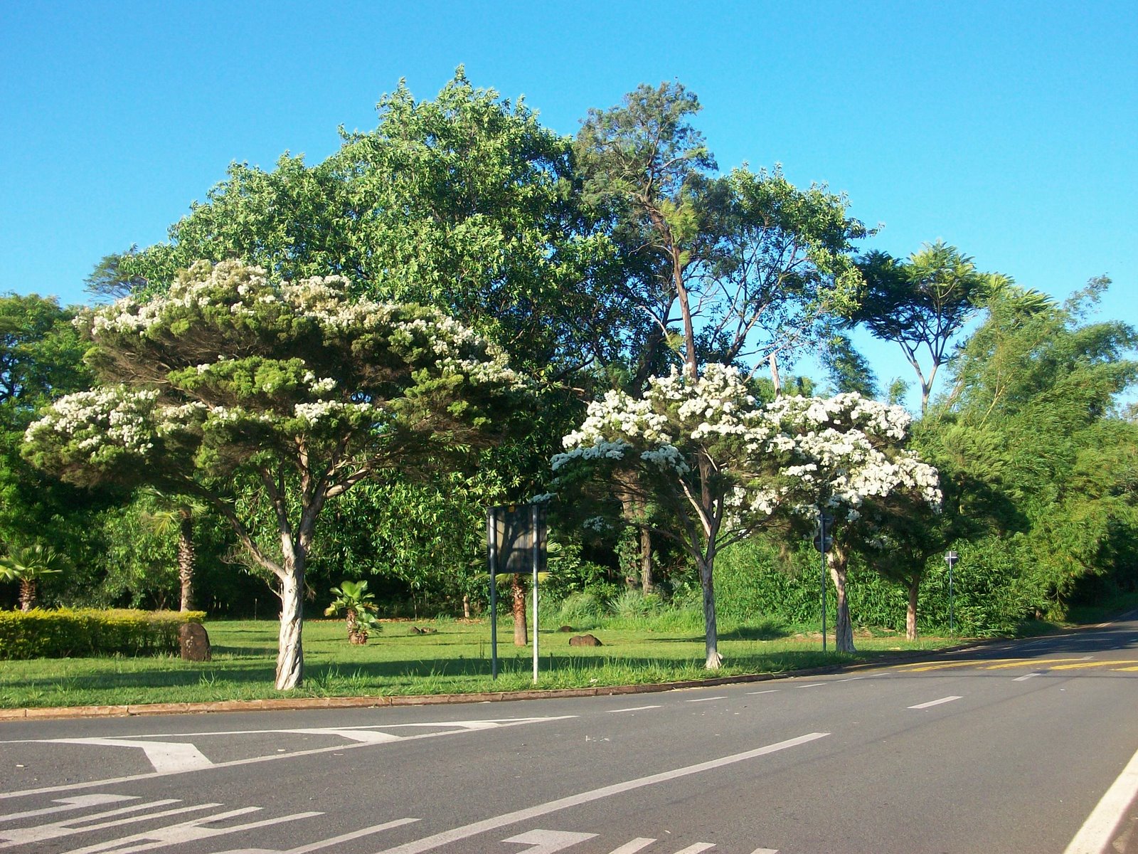 [100_0922.JPG]