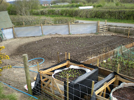 Veg Patch