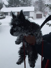 Snow day for Bella