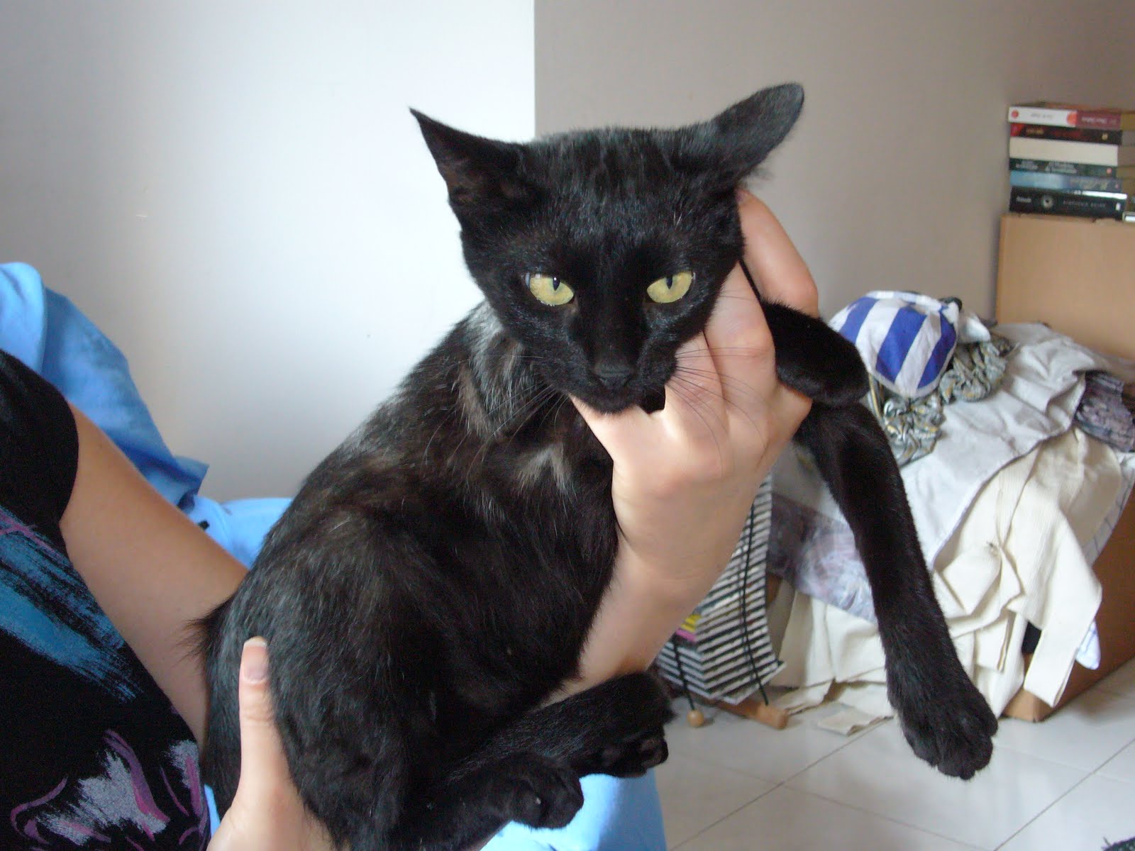 [kitty25set09_07.JPG]