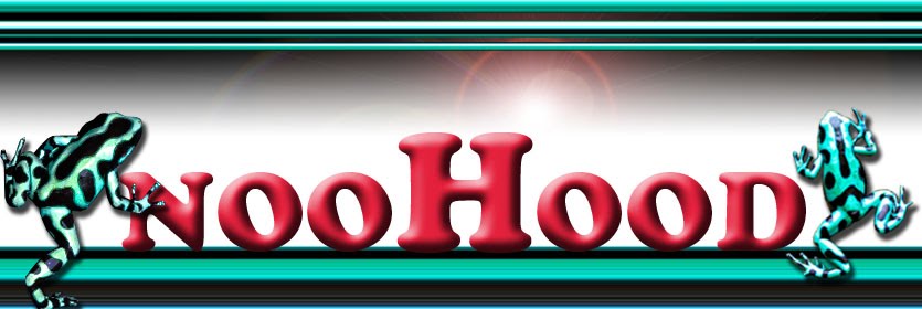 NOOHOOD