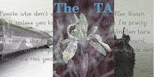 The TA