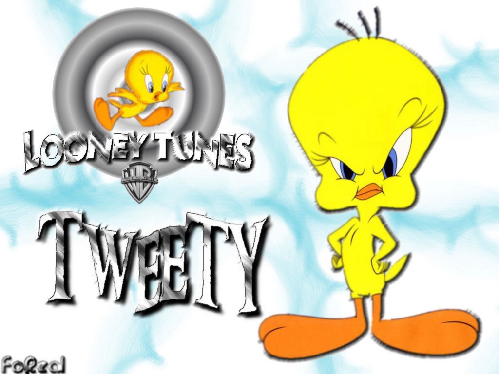 tweety wallpaper tweety wallpaper