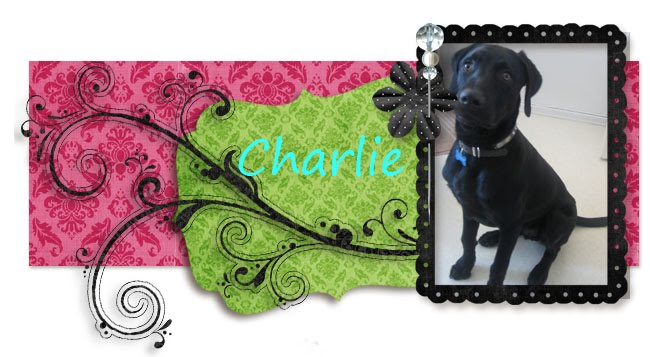 CHARLIE