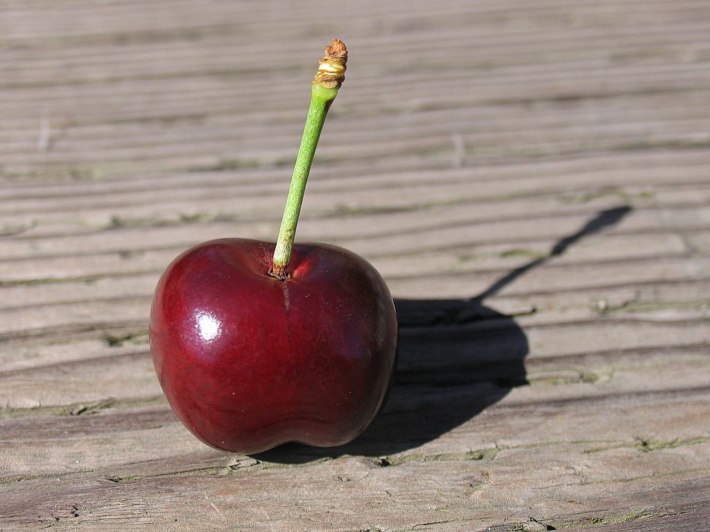 [p_cherry.red.jpg]