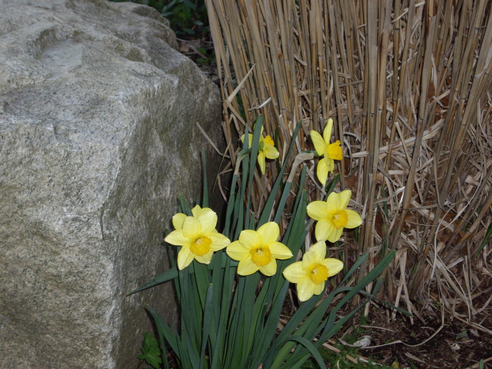 [spring_07_3.JPG]