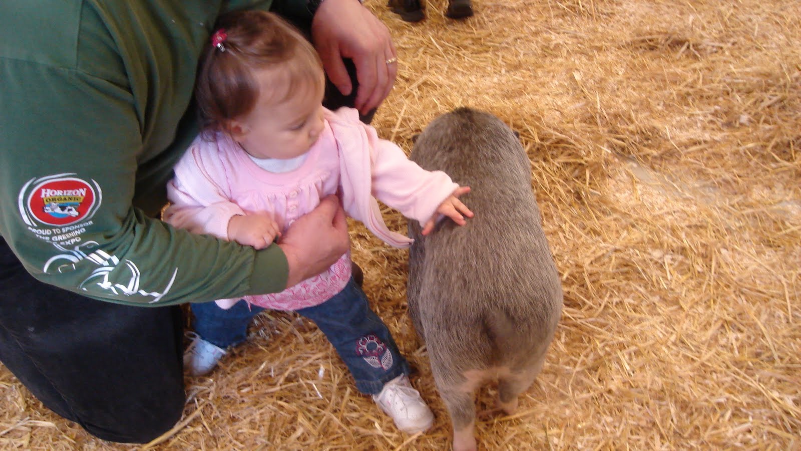 [DSC00025.JPG]