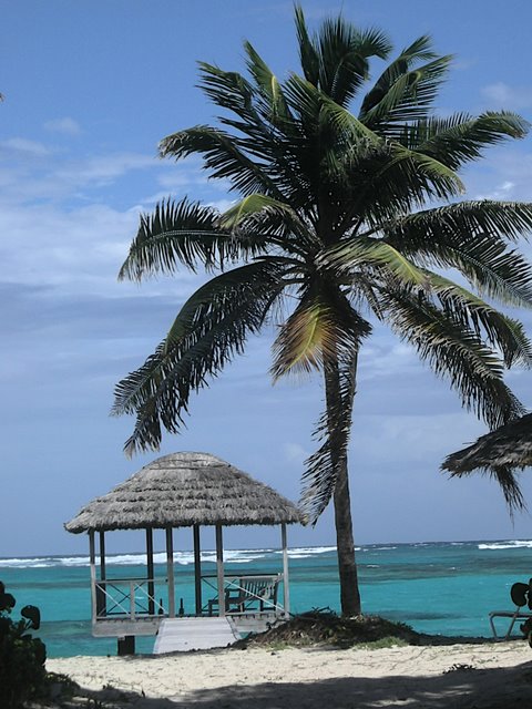 [DSCN2155.JPG]