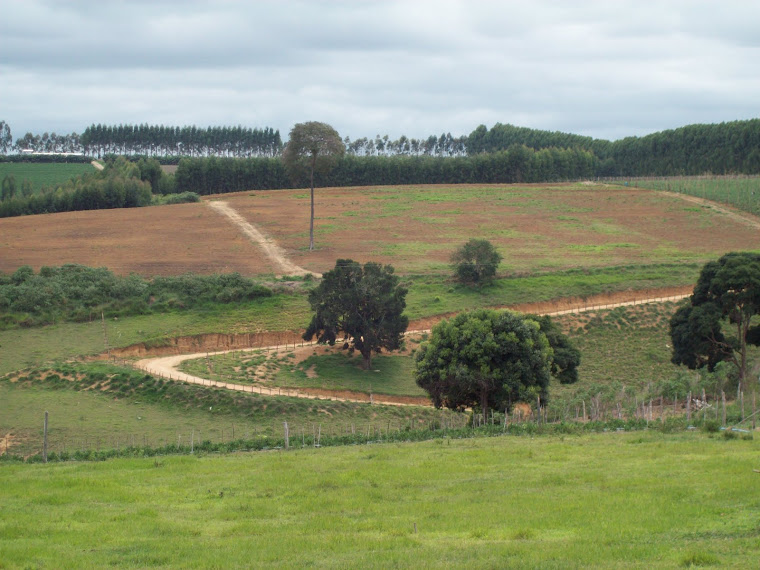 FOTOS FAZENDA ANDRADE