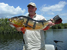 Amazon Peacock Bass Fishing