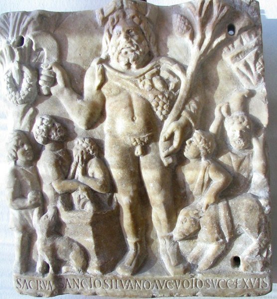 [silvanus.jpg]