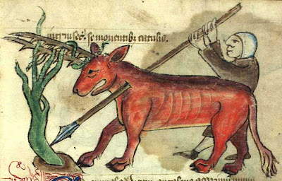 antílope-Bestiary of Ann Walsh, Inglaterra, séc. XV