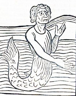 [homem-baleia.jpg]