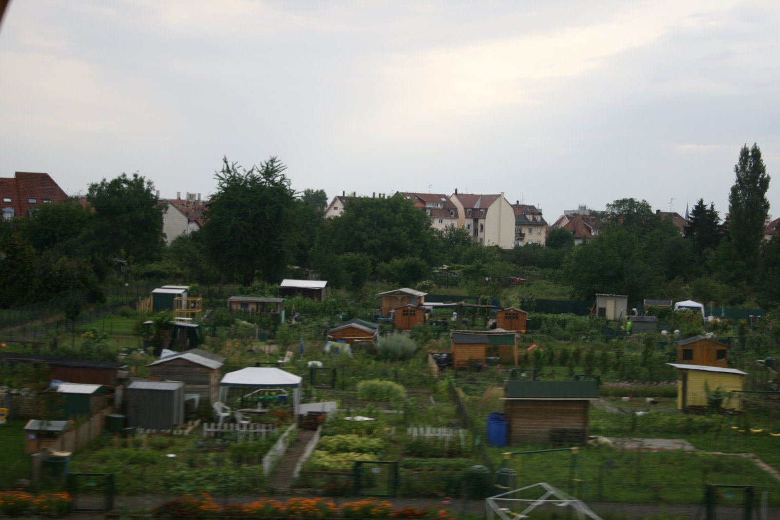 [IMG_4078.JPG]