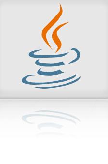 [java+app.JPG]