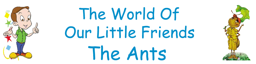 The World Of Our Little Friends, Ants