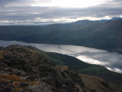 un joggeur rencontre un ours égaré