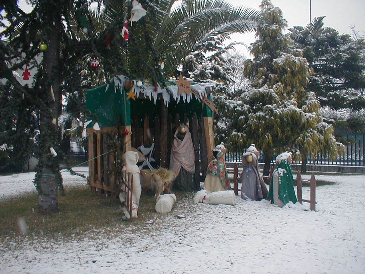 [P1010014.JPG]