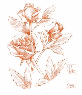 [ROSAS+ANTIGAS.bmp]
