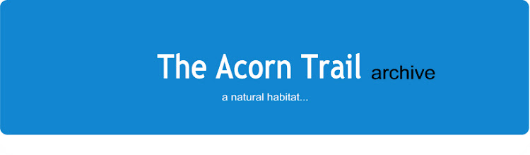 The Acorn Trail archive