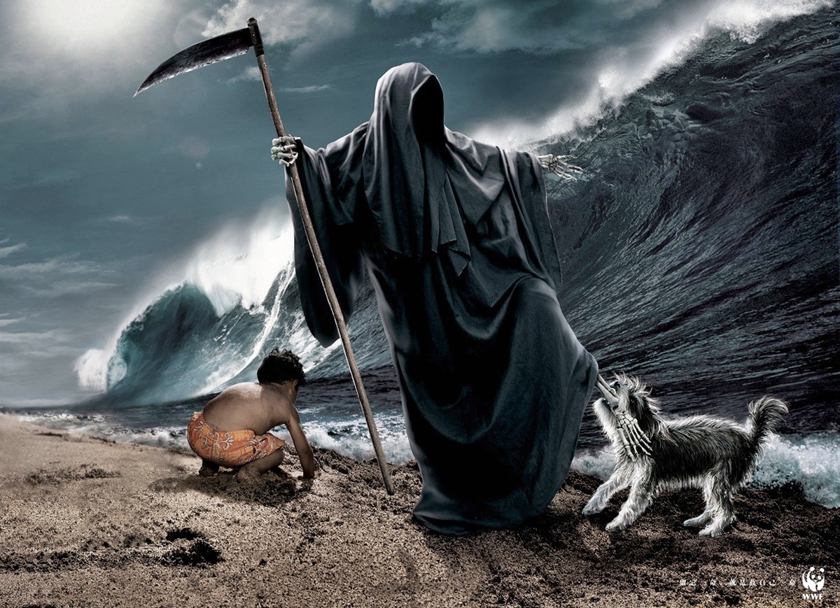 Wonderful WWF Images | Galaxy Of Pictures