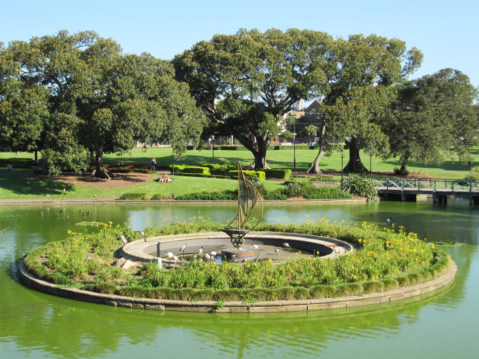 Sydney City and Suburbs Camperdown, Lake Northam