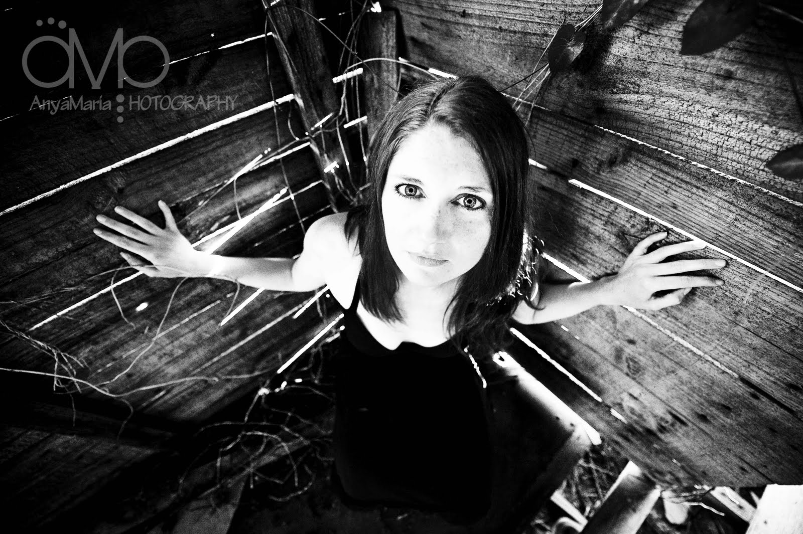 [DSC_3952_2086bwa.jpg]