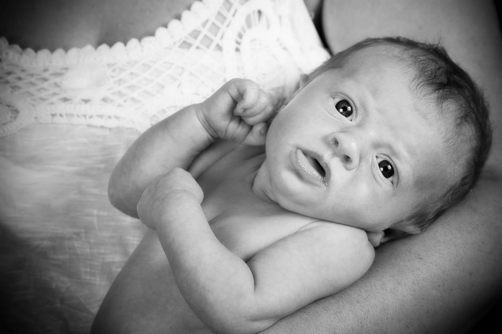 [DSC_6181_4561a.jpg]