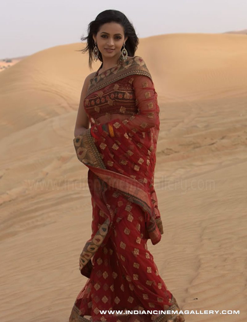 [Actress Bhavana in saree wallpapers