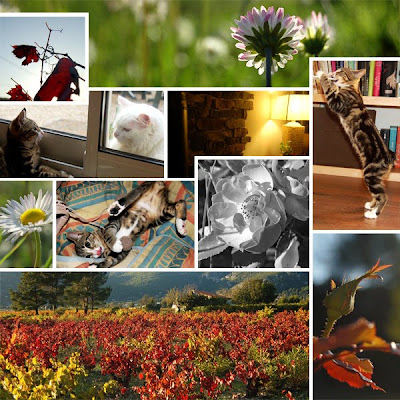photos, photographies, kemia, illustration, patchwork, photoshop, dessin, esquisse, brouillon, croquis