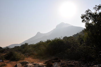 Arunachala