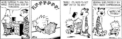 sporadic meditations: Calvin and Hobbes Comics