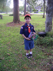 Tiger Scouts