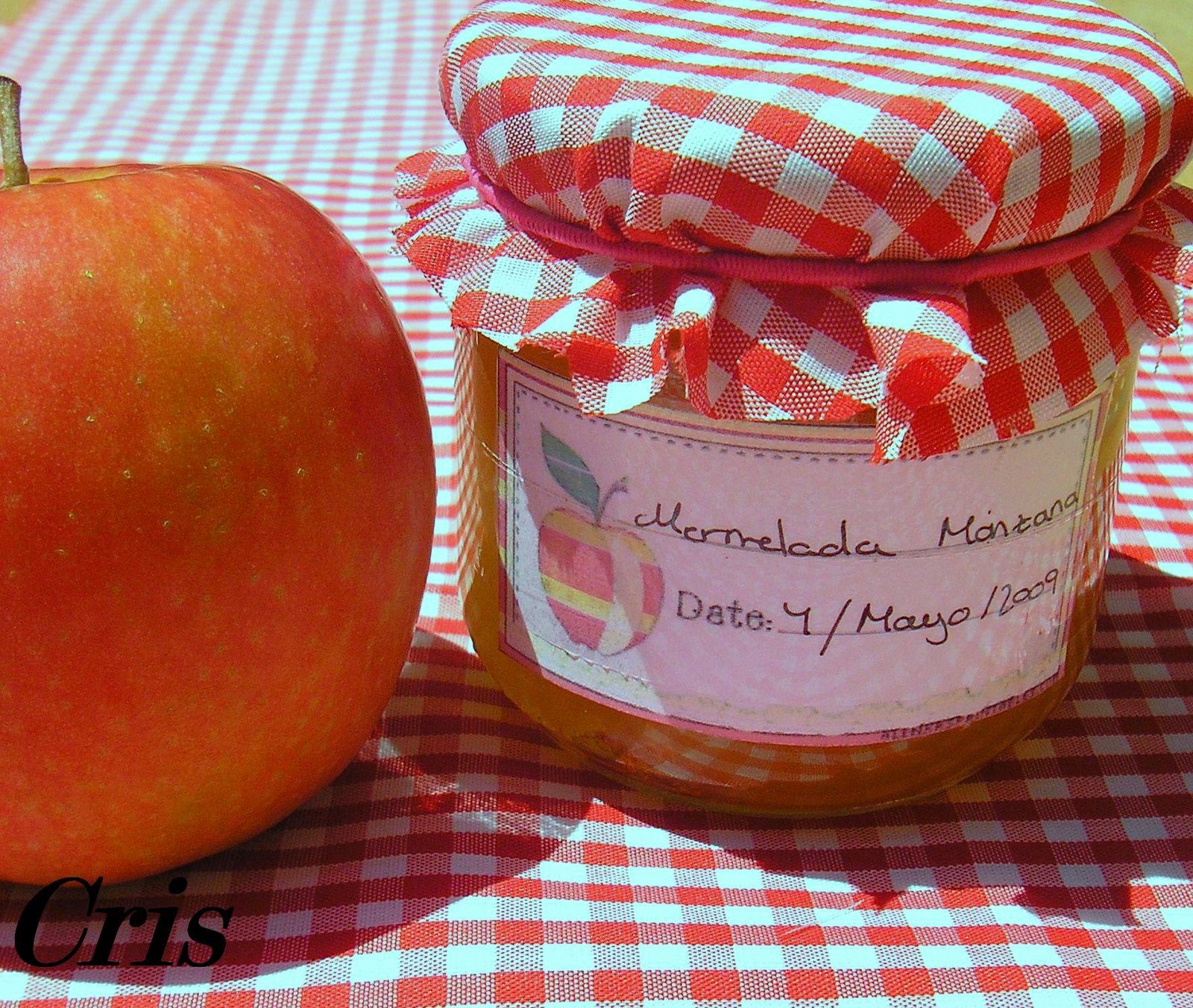 [mermelada+de+manzana.JPG]